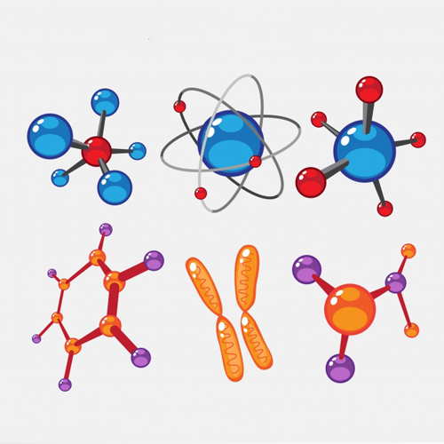 M.Sc Molecular Medicine & Stem Cell Technologies | School of Allied Healthcare Science - JAIN (Deemed-to-be University)